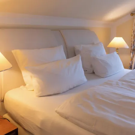 فندق Boutique Residenz Winkler اسخو ام شيمغاو